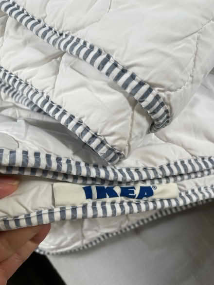 Photo of free 2 x single mattress protectors (Woolwich SE18) #3