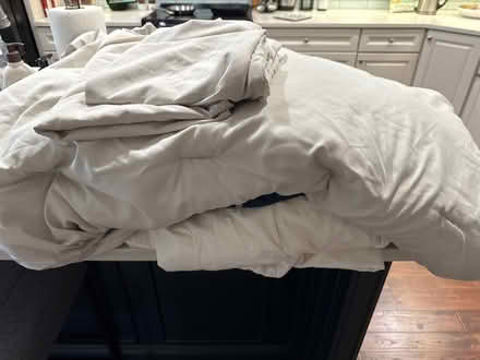 Photo of free Full size sheets and conforter (Ann Arbor near central campus) #1