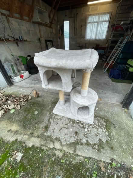 Photo of free for cats (Dublin) #1