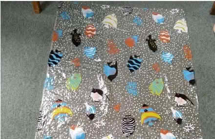 Photo of free Tropical fish shower curtain material - kids' activities? (Balsall Heath B13) #2