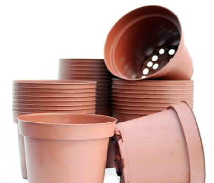 Photo of Plant pot (Strood ME2) #1