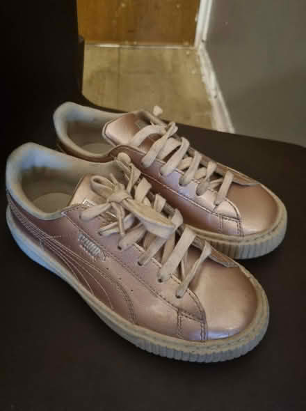 Photo of free Pink Pumas (SE5) #1