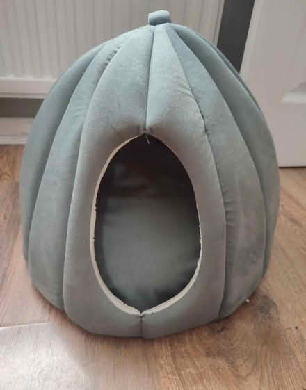 Photo of free Sage green cat bed (L25) #1