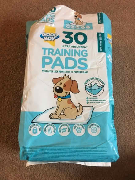 Photo of free Puppy/potty training pads (Shrewsbury) #1