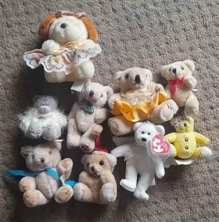 Photo of free Little teddy bears (Burgess hill) #1