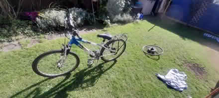 Photo of free Adult bike (Isleworth TW7) #2
