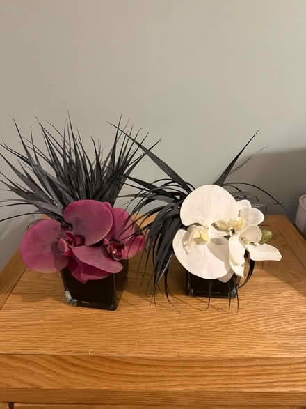 Photo of free Artificial orchid ornaments (NW6) #1