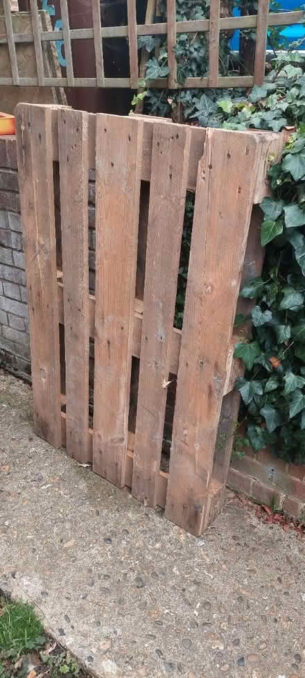 Photo of free Wooden pallet (Strood (ME2)) #2