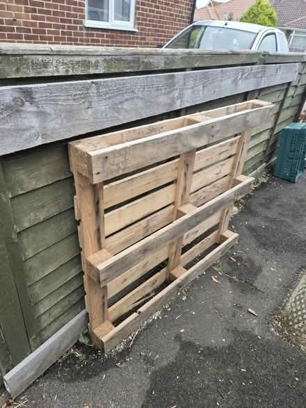 Photo of free Three pallets (BN11 worthing) #3