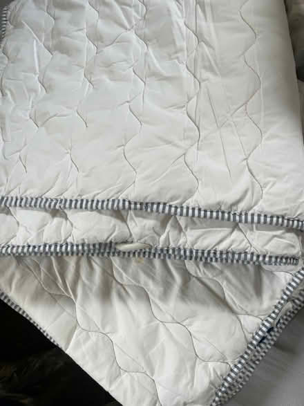 Photo of free 2 x single mattress protectors (Woolwich SE18) #1