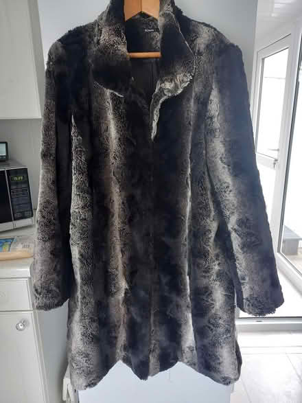 Photo of free Faux Fur Coat (CT6) #1