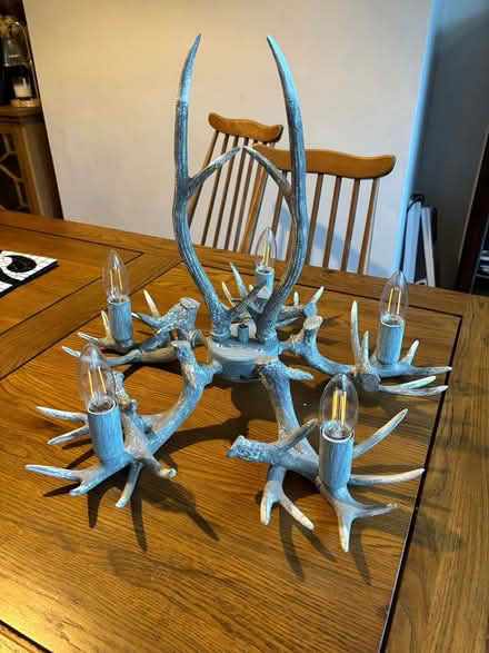Photo of free two horn hanging lights (Crouch End N8) #1
