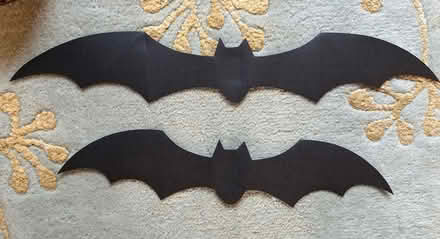 Photo of free Bat Halloween Decorations (Rainier Valley/Brighton) #2
