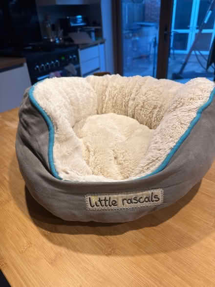 Photo of free Cat bed (Hampton TW12) #1