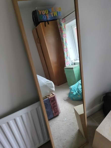 Photo of free Very motivational full length mirror (Chesterfield S40) #1