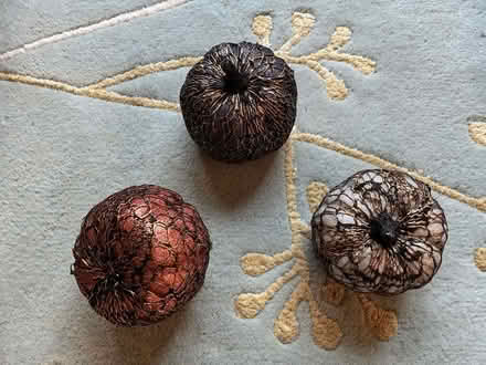 Photo of free Pumpkin Halloween Decorations (Rainier Valley/Brighton) #1