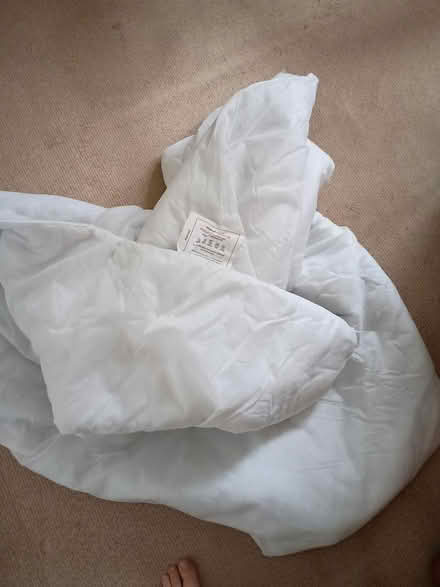 Photo of free Single duvet 13.5 tog (South Darenth DA4) #1