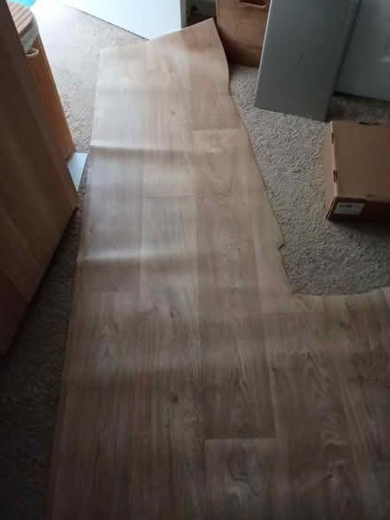 Photo of free Lino but like floorboards (South Darenth DA4) #2