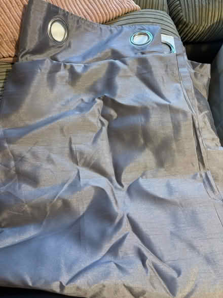 Photo of free Curtains (Axminster) #1