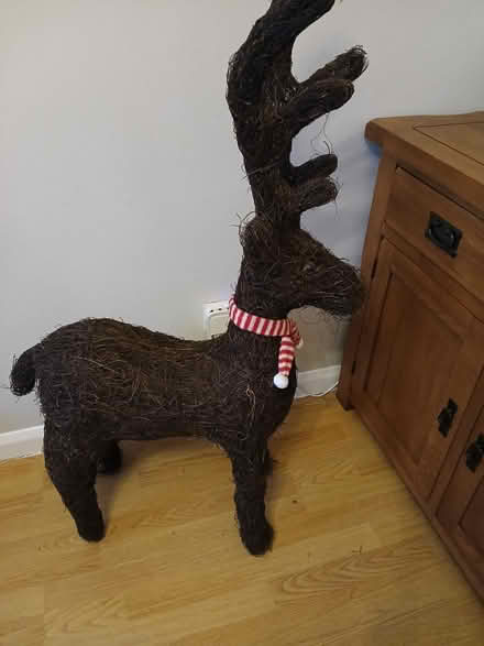 Photo of free Christmas (Belper DE56) #1