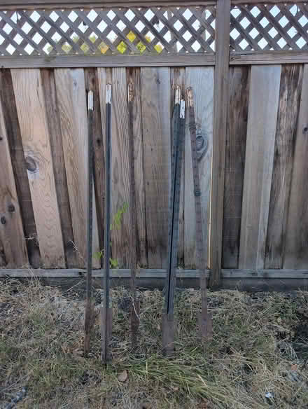 Photo of free T-posts (San Carlos) #1