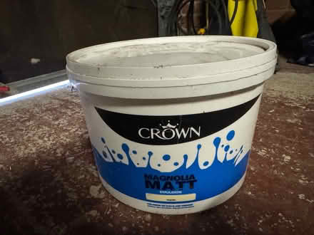 Photo of free 10l crown magnolia - unopened (North Abingdon OX14) #1