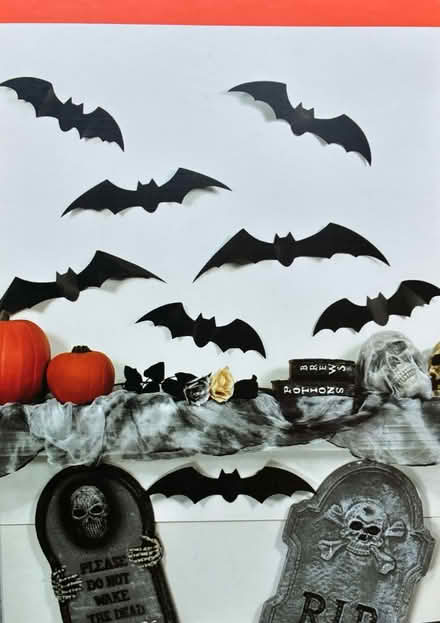Photo of free Bat Halloween Decorations (Rainier Valley/Brighton) #1