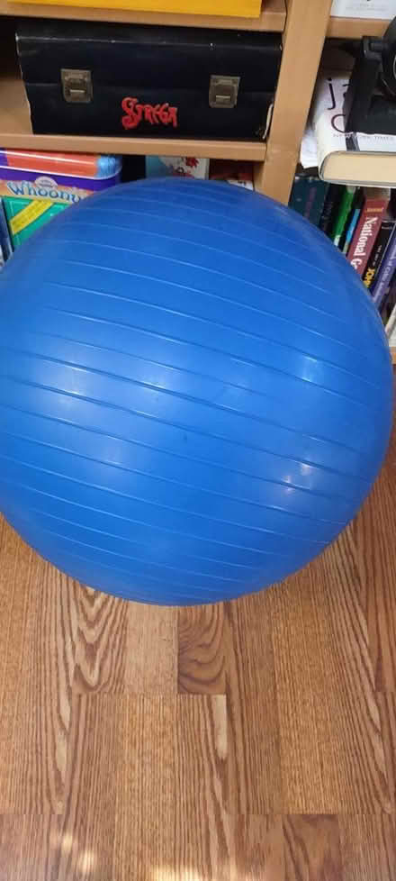 Photo of free Exercise ball (Everett) #1