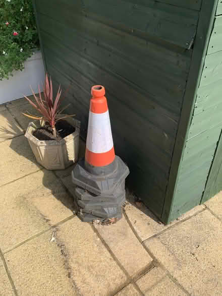 Photo of free Five cones (Peacehaven BN10) #1