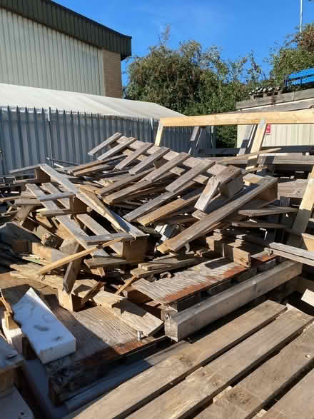 Photo of free Firewood (Trowse NR1) #2