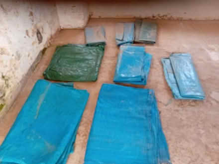 Photo of free Tarpaulins and blue plastic pieces (Kingston Hill ST18) #1