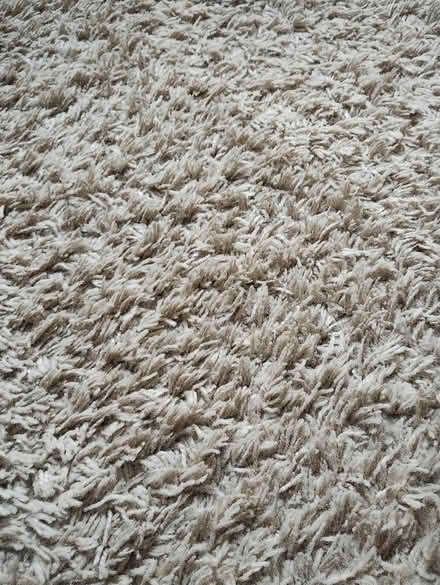 Photo of free Rug - 2m x 2m (Chilwell NG9) #2