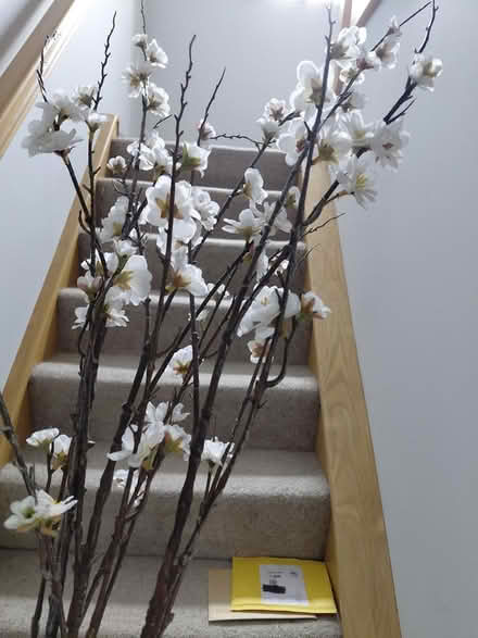 Photo of free Long artificial flowers (Fleetville AL4) #1