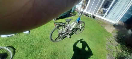 Photo of free Adult bike (Isleworth TW7) #1