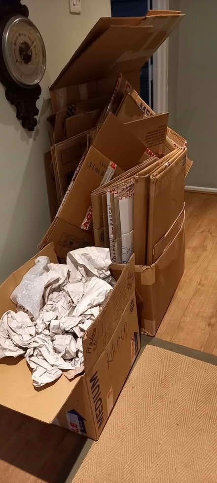 Photo of free Packing boxes and wrapping (Filsham TN38) #1