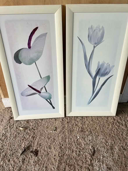 Photo of free Pictures (Cleghorn ML11) #1