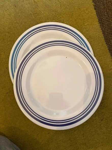 Photo of free 2 picnic plates (Wimbledon Park SW19) #1