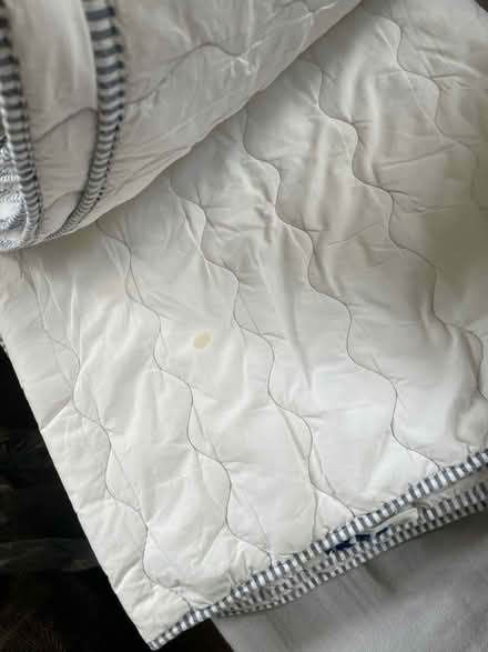 Photo of free 2 x single mattress protectors (Woolwich SE18) #2