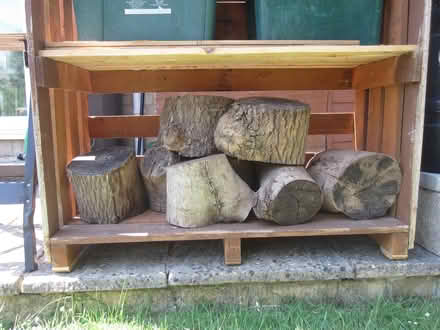 Photo of free Large Ash Logs (bradford-on-avon) #1