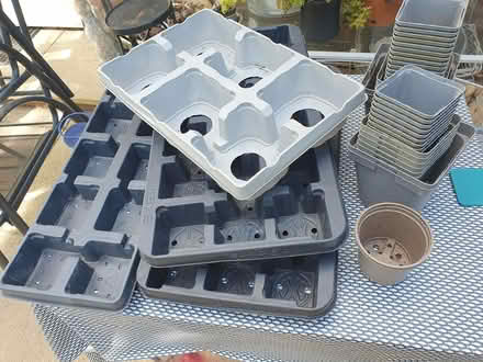 Photo of free Seed trays and plant pots (Basingstoke RG23) #1