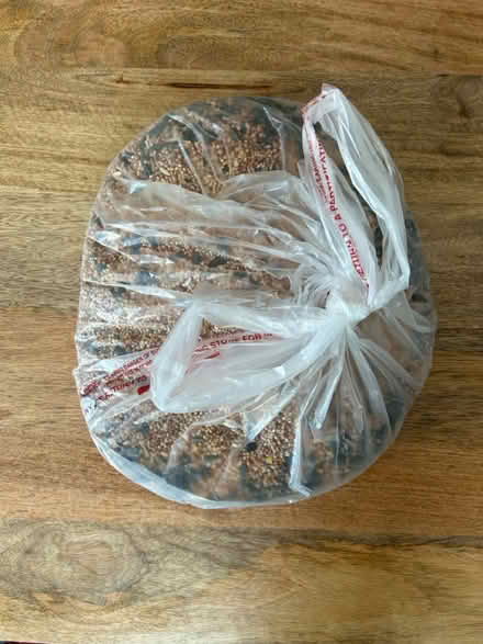 Photo of free Bird seed (Shoreline West Mountain View) #1