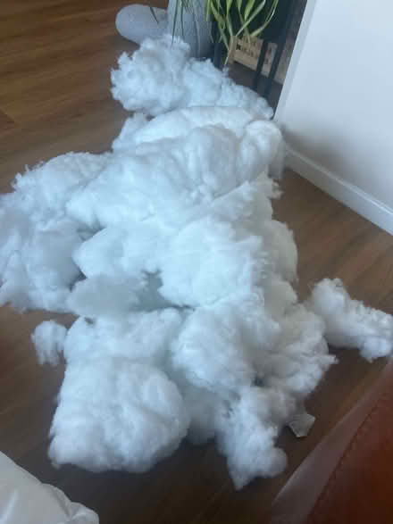 Photo of free Cushion fibre (NG9 Stapleford) #1