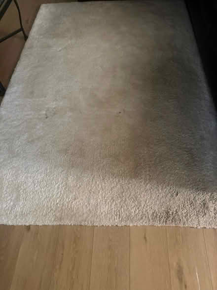Photo of free Rugs (Bowie) #2