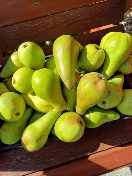 Photo of free Conference pairs (Morley DE21) #2