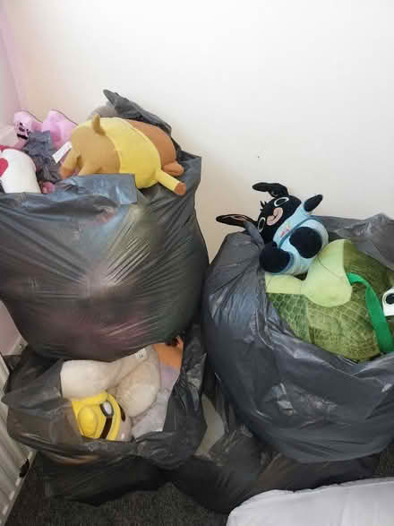 Photo of free Bags of teddies (Hindley green, wn2) #1