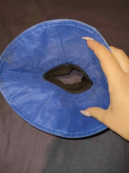 Photo of free Kitten collar (SW15) #2