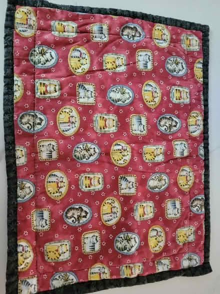 Photo of free Cat placemat (20011) #1