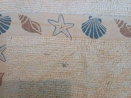 Photo of free Stylish Quick-Dry Bathroom Mat (Orgreave S13) #3