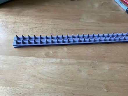 Photo of free Cat/Bird Spikes (Blythe Bridge) #1