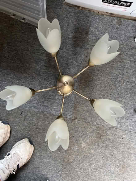 Photo of free Ceiling light (GU22) #1